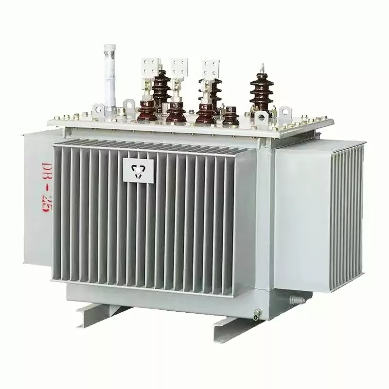 Transformador de distribución sumergido en aceite
